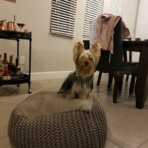 Meet your Posher, Felipe